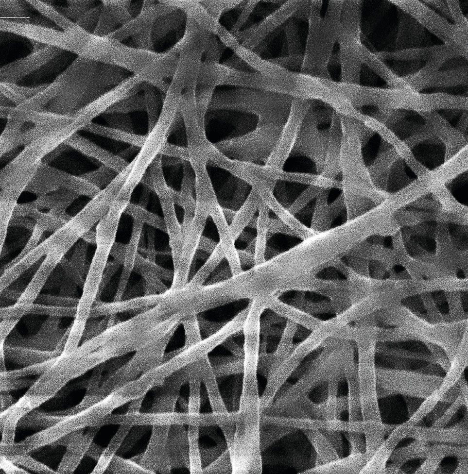 Nanovent2_x10000_copie.jpg